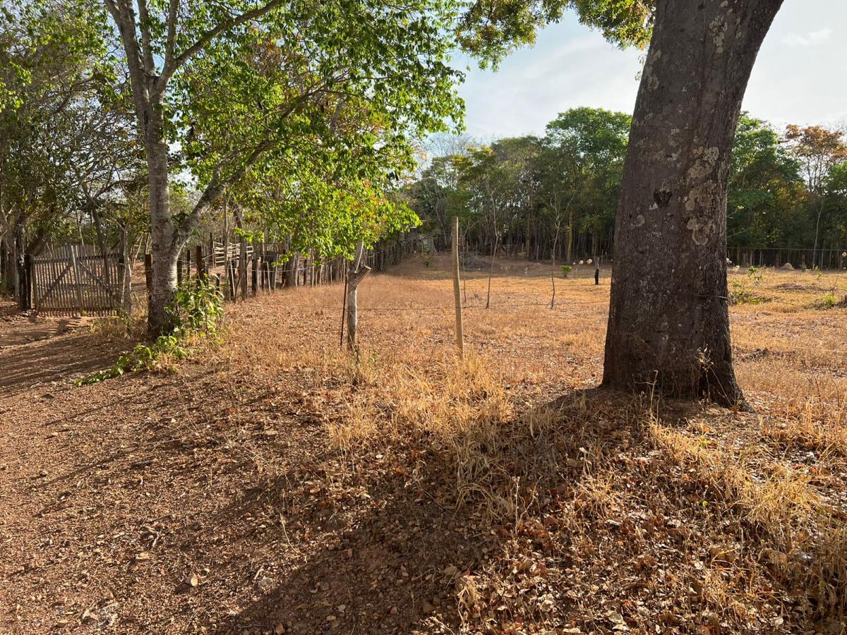 Terreno à venda, 6678m² - Foto 6