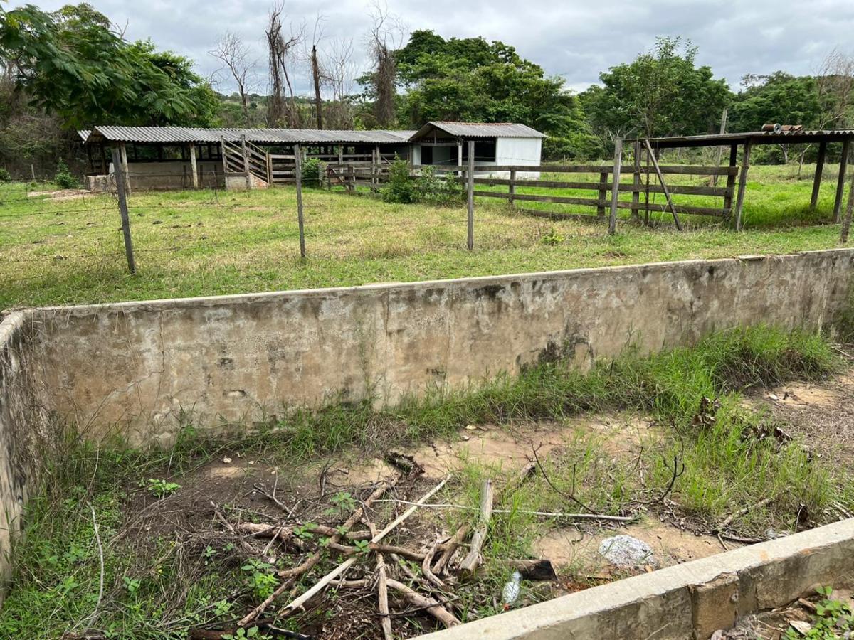 Chácara à venda com 4 quartos, 55000m² - Foto 16